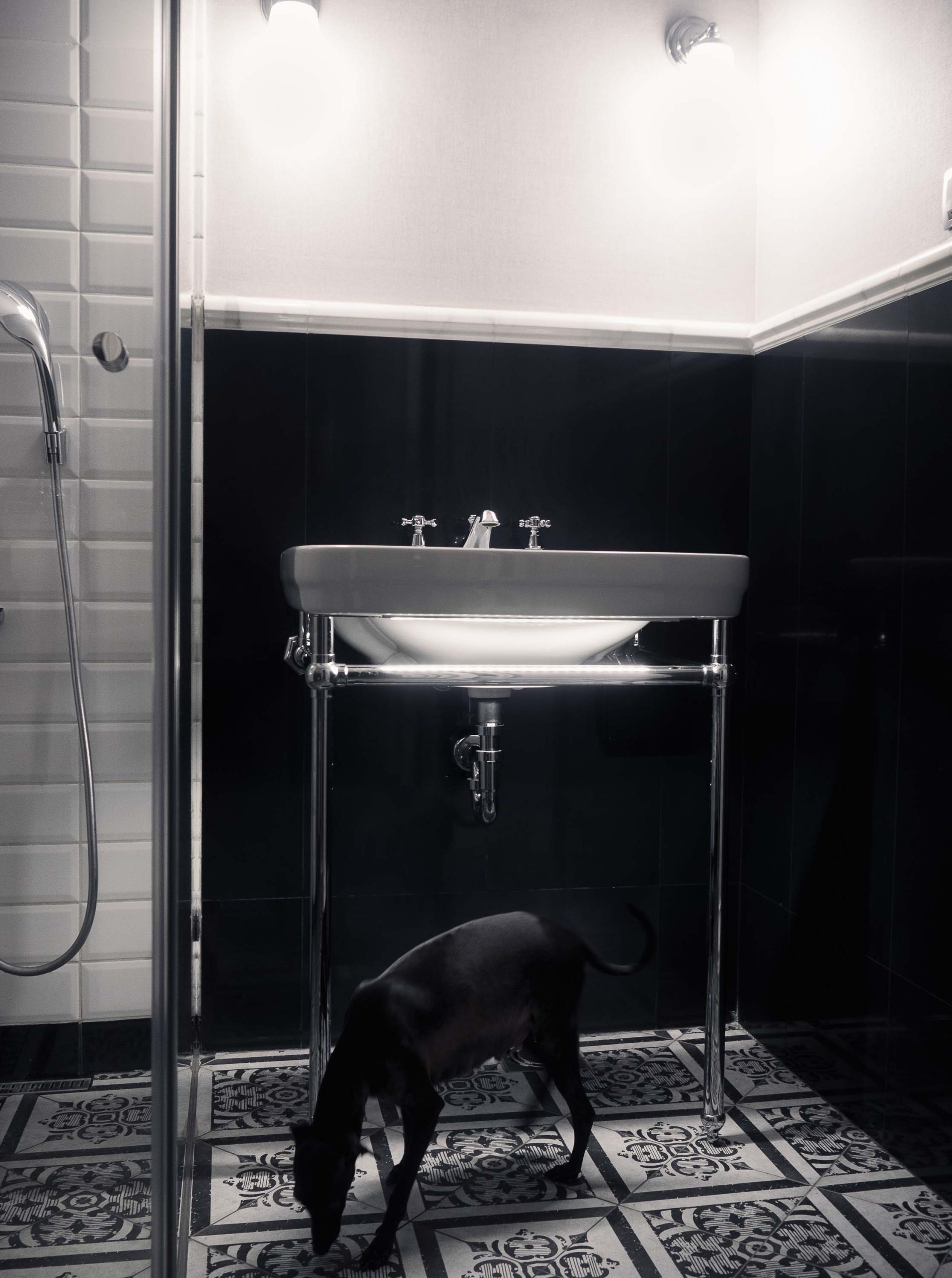 Elegantna simfonija crne i bele u luksuznom kupatilu. Upečatljiva kombinacija crnih zidnih pločica i belih detalja stvara sofisticiranu atmosferu. Pažljivo odabrana rasveta naglašava svaki detalj, od elegantne slavine do prefinjenog lavaboa. Pod sa dekorativnim pločicama dodaje notu klasike. U kadru se nalazi i neočekivani gost, koji dodatno oživljava scenu. Fotografija koja ističe kvalitet i dizajn, idealna za promociju nekretnina.